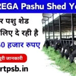 MNREGA Pashu Shed Yojana 2024