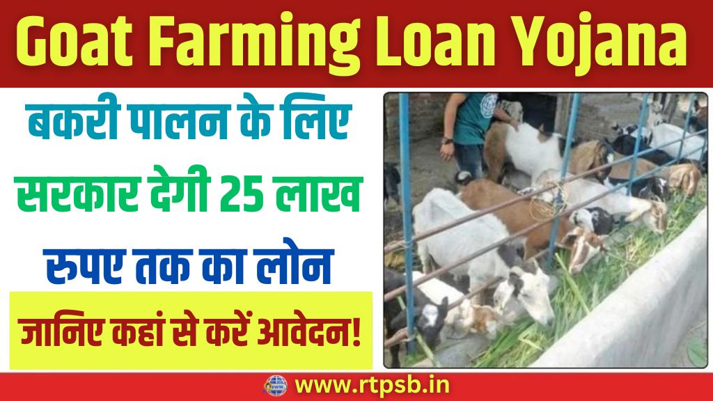 Goat Farming Loan 2024