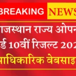 Rajasthan State Open Board 10th Result 2024 Official Website